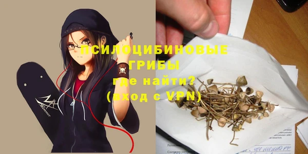 индика Балабаново