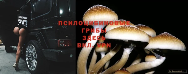 индика Балабаново