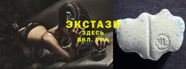 индика Балабаново