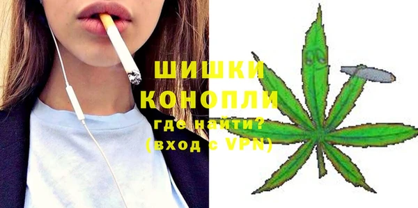 индика Балабаново