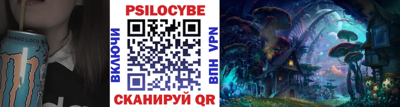 Купить где  Магас  Галлюциногенные грибы GOLDEN TEACHER 